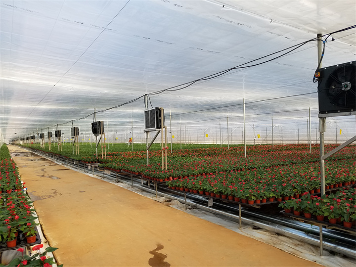 綠航園藝（22畝）